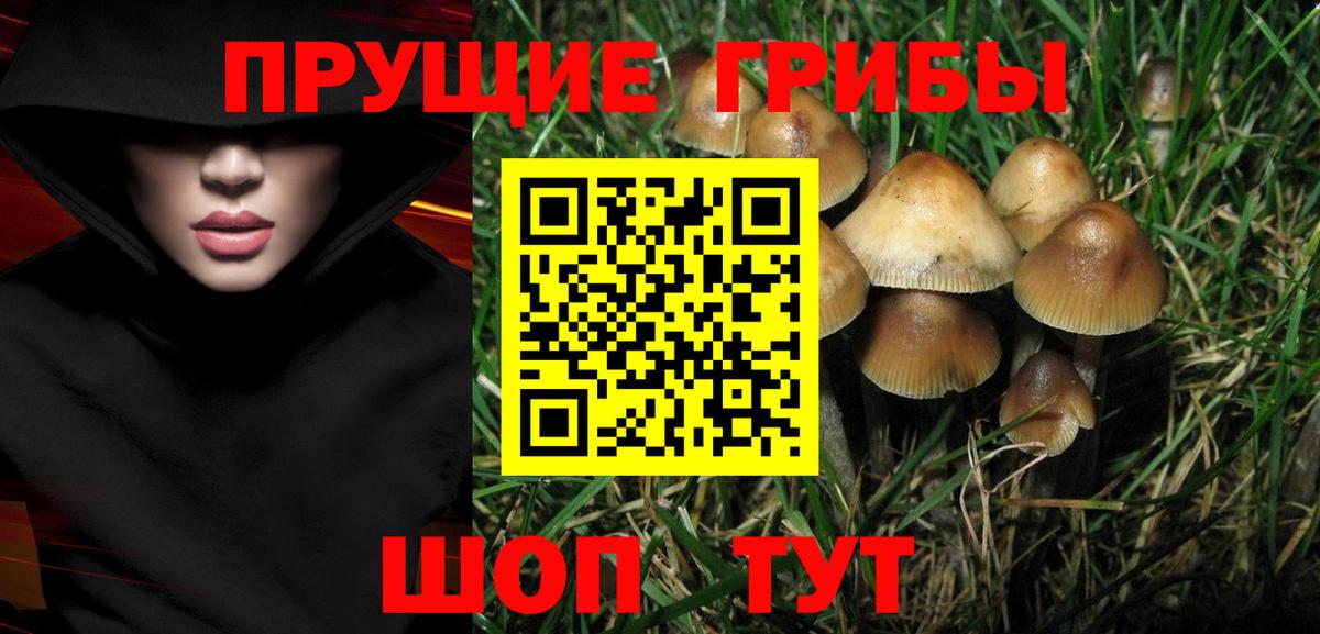 Нефтекумск  Псилоцибиновые грибы ЛСД  Вход с VPN 